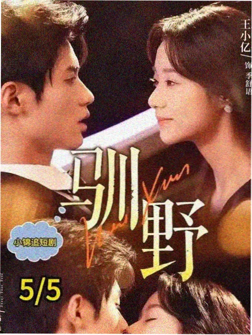 一人食的东京 日本美食综艺海报